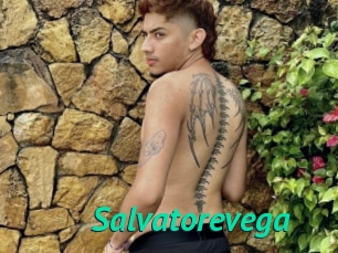 Salvatorevega