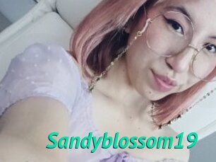 Sandyblossom19