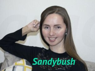 Sandybush