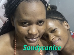 Sandycanice