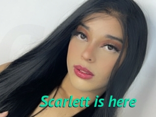 Scarlett_is_here