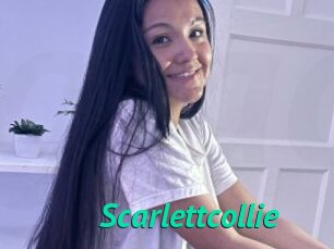 Scarlettcollie