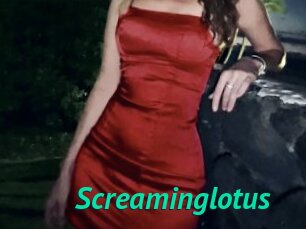 Screaminglotus