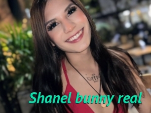 Shanel_bunny_real