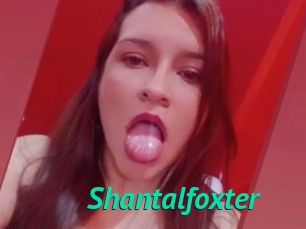 Shantalfoxter