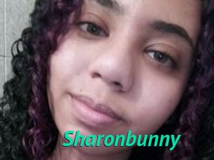 Sharonbunny