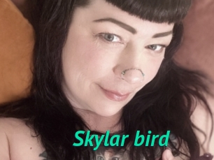 Skylar_bird