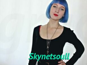 Skynetsoull