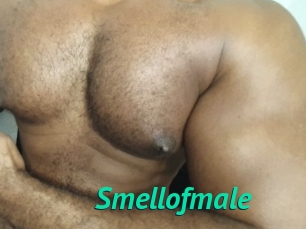 Smellofmale