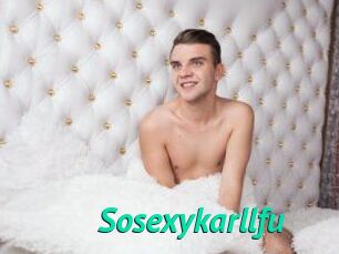 Sosexykarllfu