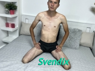 Svendix