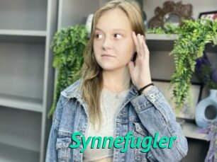 Synnefugler