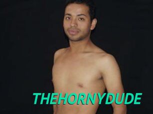 THEHORNYDUDE
