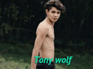 Tony_wolf