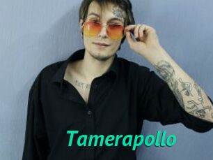 Tamerapollo