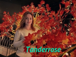 Tanderrose