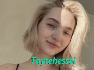 Taytehessel