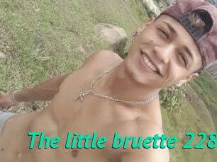 The_little_bruette_228