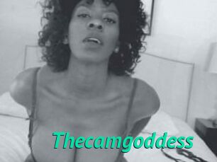 Thecamgoddess