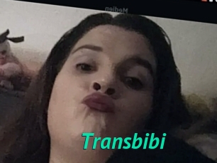 Transbibi