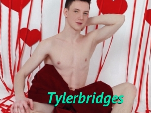 Tylerbridges