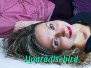 Uparadisebird