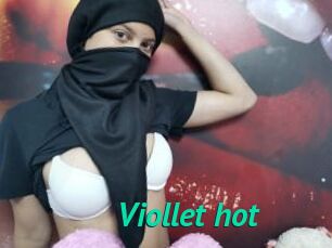 Viollet_hot