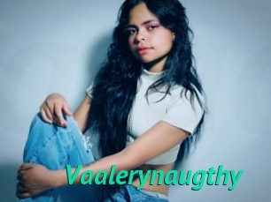 Vaalerynaugthy