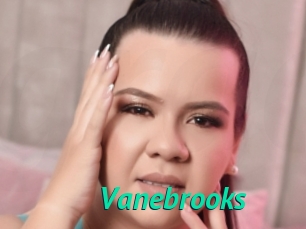 Vanebrooks