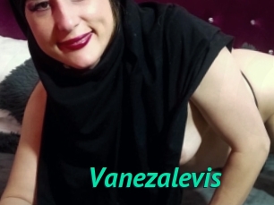 Vanezalevis