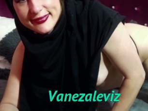 Vanezaleviz