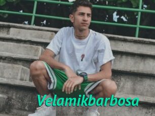 Velamikbarbosa