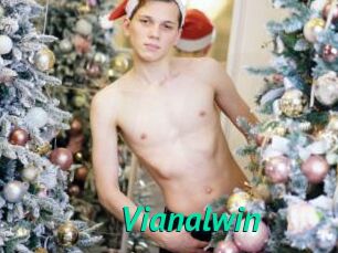 Vianalwin