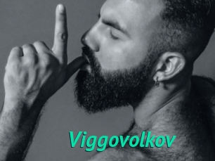 Viggovolkov