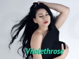 Viiolethrose