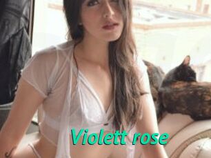 Violett_rose