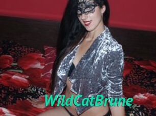 WildCatBrune Gratis Camsex
