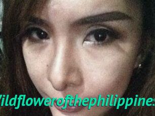 Wildflowerofthephilippines