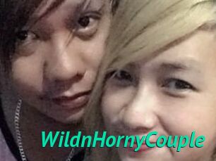 WildnHornyCouple