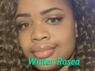 Winter_Rosea