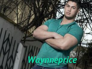 Waynneprice