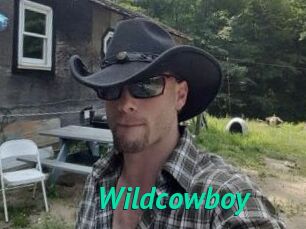 Wildcowboy