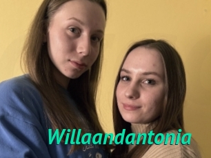 Willaandantonia