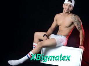 XBigmalex