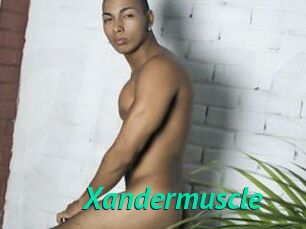 Xandermuscle