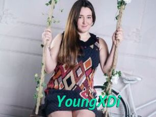 YoungXDi