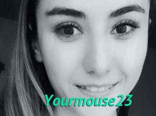 Yourmouse23