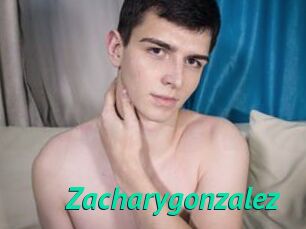 Zacharygonzalez