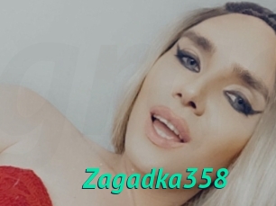 Zagadka358