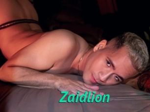 Zaidlion